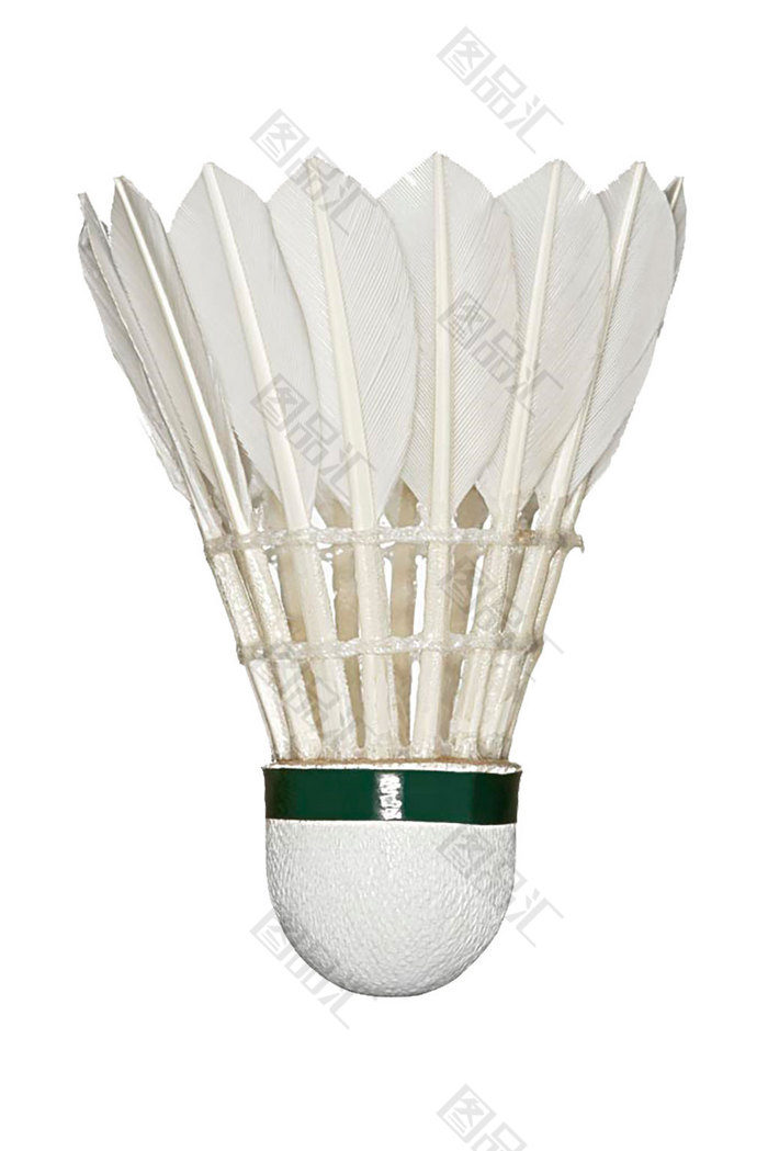 成长和新援 成长和新援