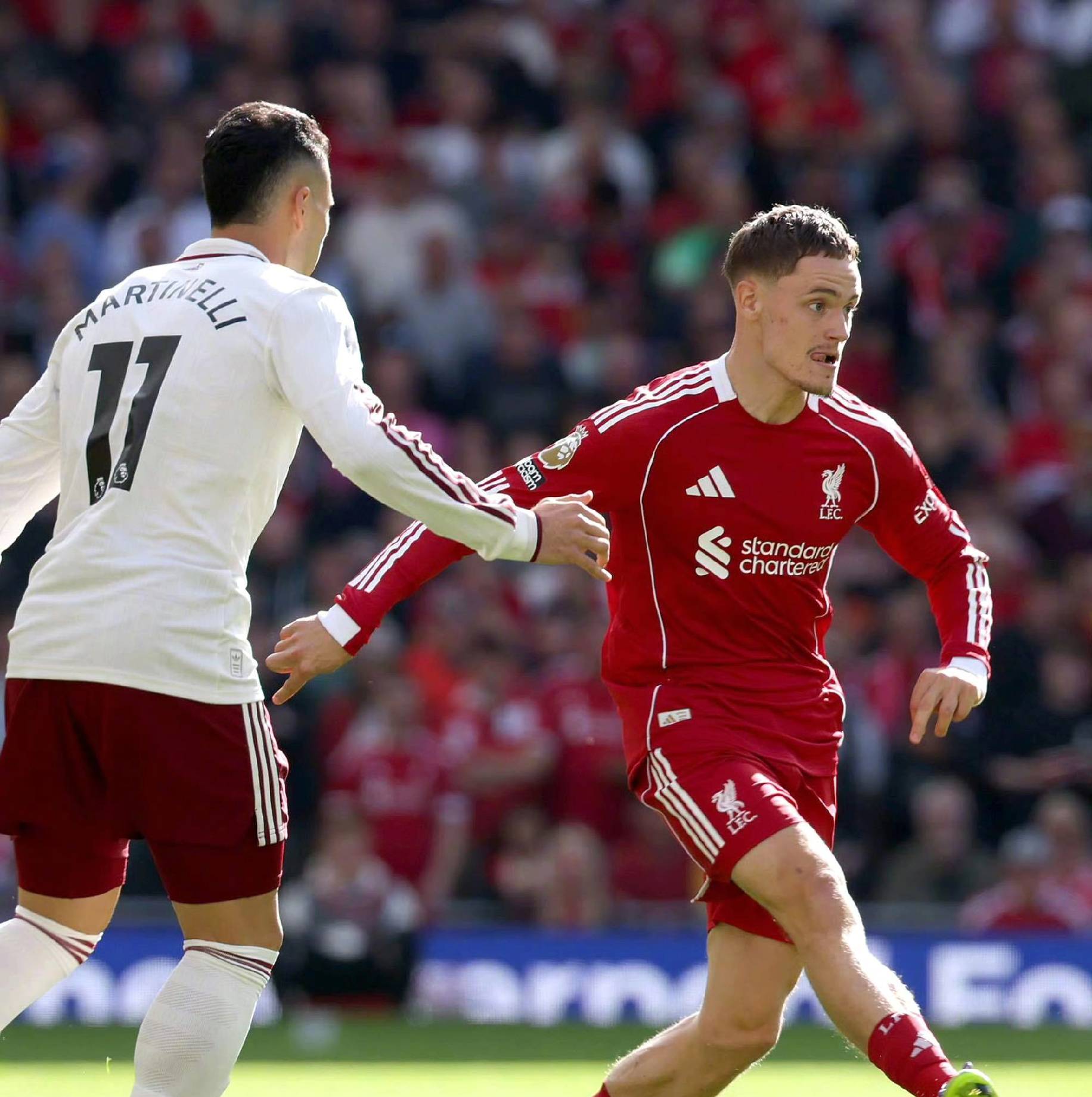 联盟中的地 联盟中的地