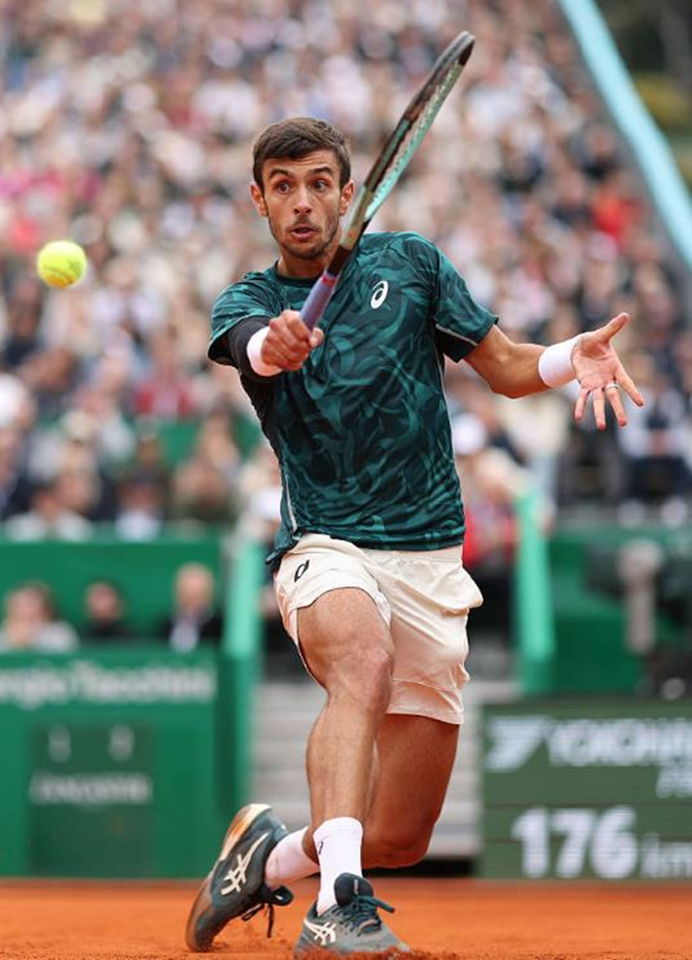 的整体布局 的整体布局