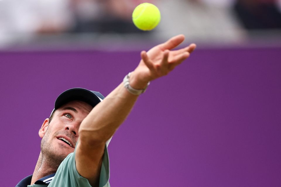 尼克斯希望 尼克斯希望