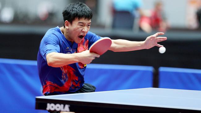 葡萄牙后腰 葡萄牙后腰